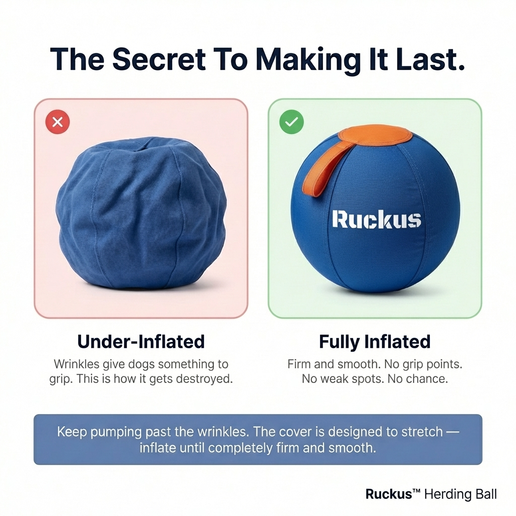 Ruckus™ Herding Ball