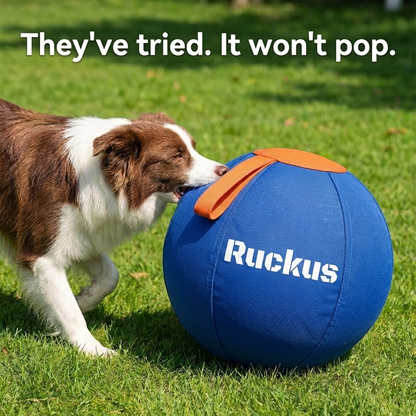 Ruckus™ Herding Ball