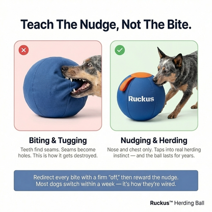 Ruckus™ Herding Ball